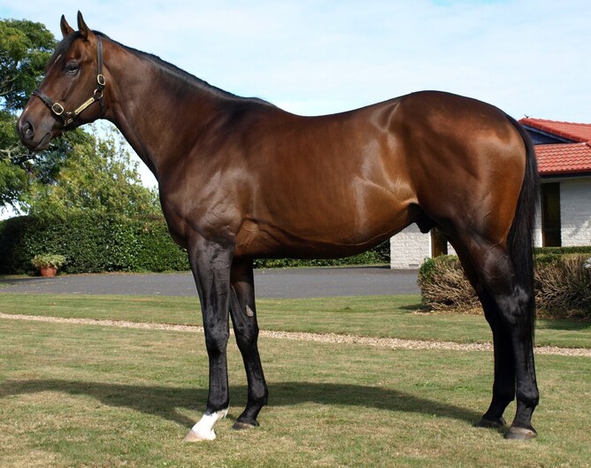 Battle Paint. Photo: Supplied