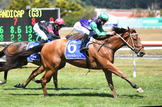 Bankers Choice defeats Coventina Bay to win the Gr.3 Dixon & Dunlop Anniversary Handicap (1600m) at Trentham Photo Credit: Race Images – Peter Rubery