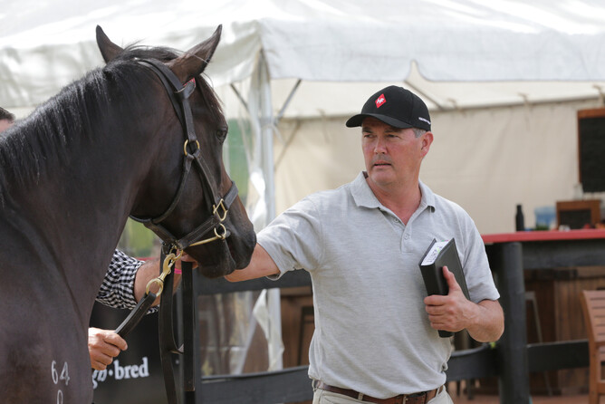 Haunui Farm Managing Director Mark Chitty. - Photo: Trish Dunell