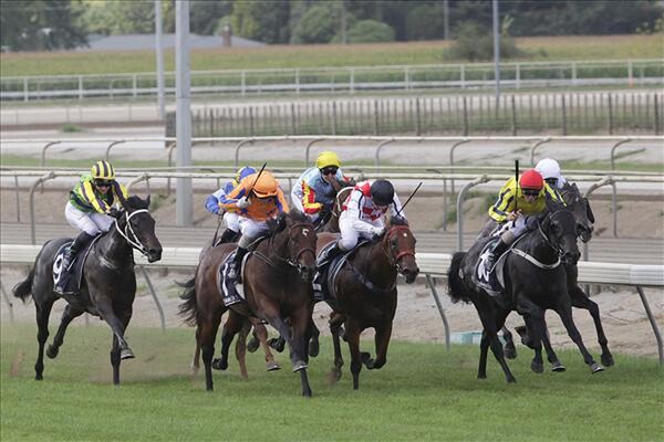 Gold Rush wins the Matamata Breeders' Stakes | New Zealand Thoroughbred ...