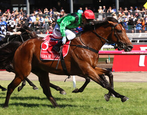 Outstanding galloper Turn Me Loose to stand in New Zealand