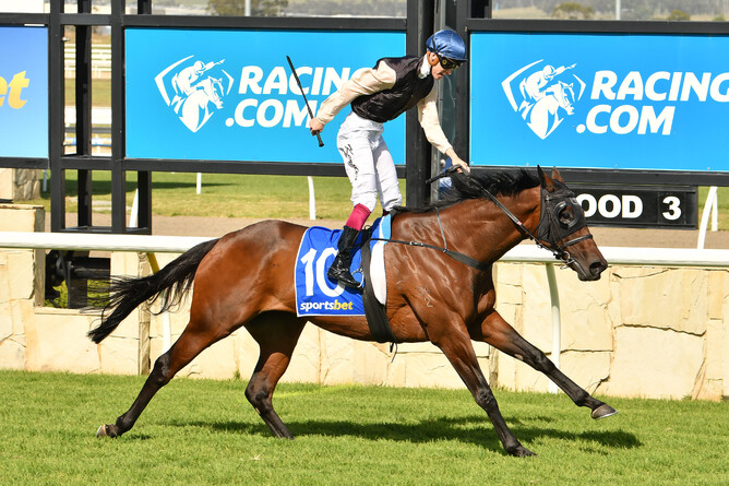 Etah James winning the Listed Pakenham Cup (2500m). Photo: Quentin Lang