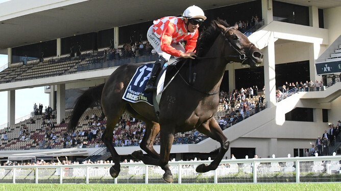 Orchestral and Craig Grylls stride to a phenomenal victory in the Gr.1 Trackside New Zealand Derby (2400m) at Ellerslie on Saturday.  - Photo: Kenton Wright (Race Images)