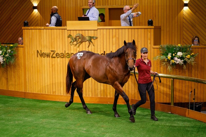 Lot 283, a colt by Hello Youmzain was knocked down to Hongwei Chen for $700,000 - Photo: Angelique Bridson