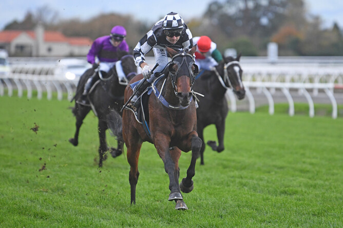 Talented wet track specialist Justaskme clears out from his rivals at Awapuni  - Photo: Race Images