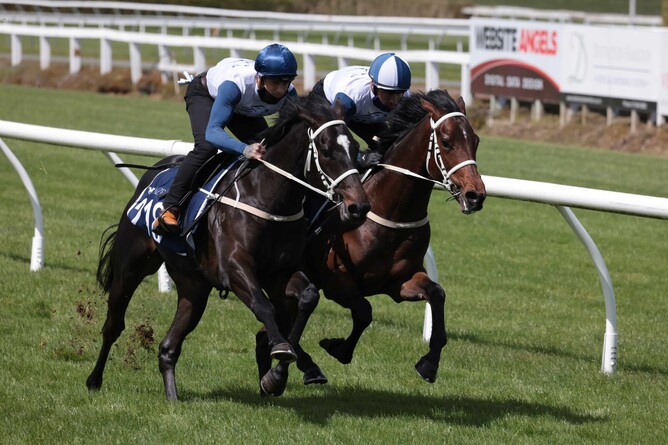 Lot 218, the Sacred Falls colt out of Ohukia Lodge’s draft, was purchased by Bjorn Baker and Group 1 Bloodstock for $600,000. Photo: Stephen Barker