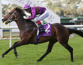 Prickle - a super mare for Celia Crawshaw