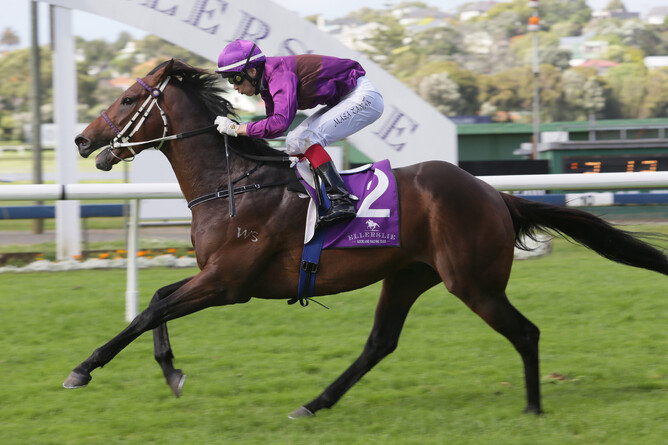 Lincoln Blue wins the Listed Race For Life 3YO Salver at Ellerslie.  Pic.  Trish Dunell