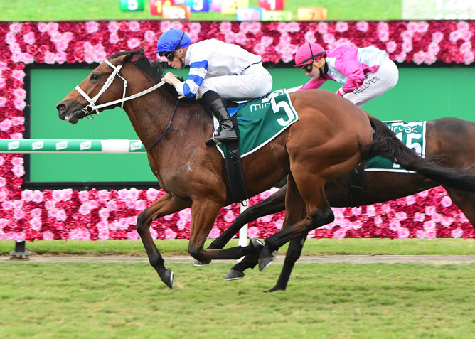 Kolding scores in the Gr.2 Queensland Guineas at Eagle Farm - Grant Peters