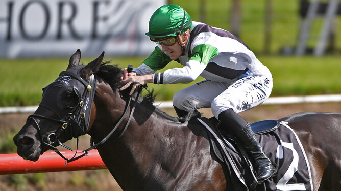 Agera and apprentice jockey Sam McNab took their careers to new heights in the Gr.2 Gartshore Construction Tauranga Stakes (1530m).  - Photo: Kenton Wright (Race Images)