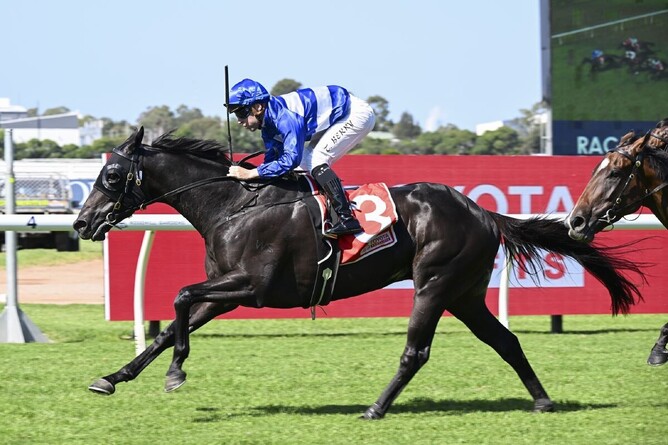 Wymark continued his winning form with success in the Gr.2 Tulloch Stakes (2000m) at Rosehill.  - Photo: bradleyphotos.com.au