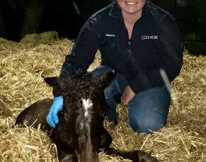 Rebecca Donovan - Sunline Management Scholarship Blog 2