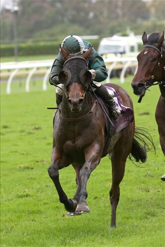 Sacred Spirit wins the Listed Graeme Thomson Jewellers Great Northern Foal Stakes 23/5/15