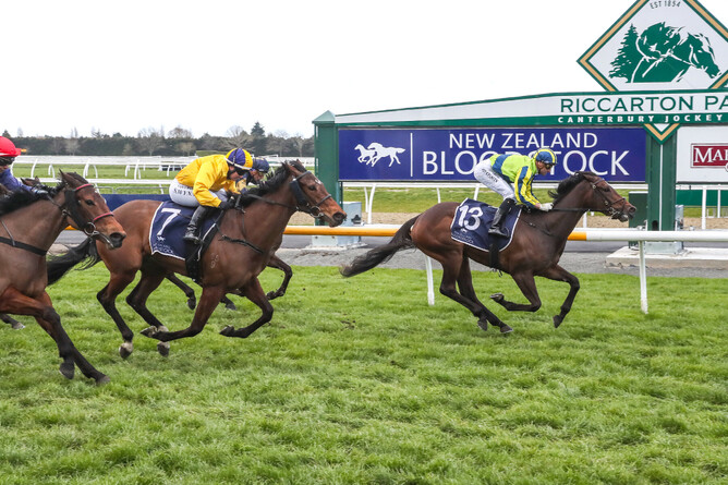 One Kiss holds out the challenges to take out the Listed New Zealand Bloodstock Canterbury Belle Stakes (1200m) - Photo: Race Images South