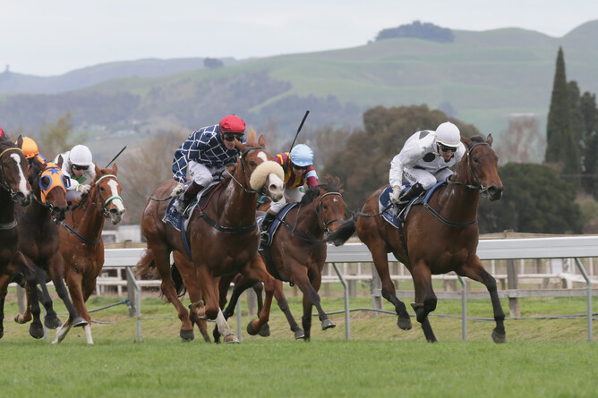 Honey Rider (white cap) wins the Gold Trail Stakes at Hastings. Photo -Trish Dunell