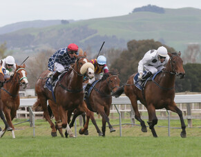 Honey&rsquo;s Run Continues in Gold Trail Stakes