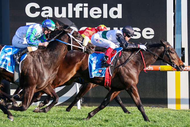 Mr Brightside was too strong for rivals in the Gr.1 Memsie Stakes at Caulfield on Saturday. - Photo: Bruno Cannatelli