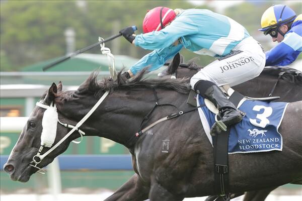 Picture courtesy of Trish Dunell