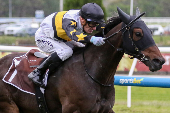 Here To Shock added another stakes victory to his resume, taking out the Listed Testa Rossa Stakes (1400m) at Caulfield.  - Photo: Bruno Cannatelli