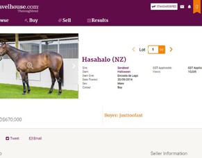 gavelhouse.com set to launch enhanced site