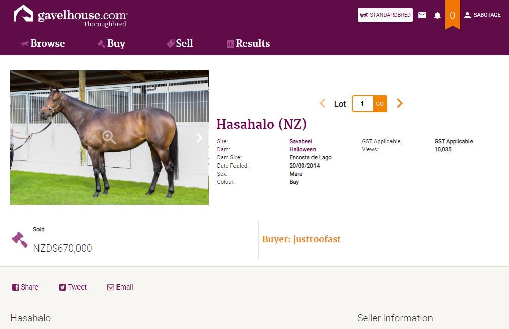 set to launch enhanced site New Zealand Thoroughbred