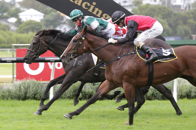 Bellatrix Black defeats Mustang Valley in the Gr.3 McKee Family Sunline Vase (2100m) at Ellerslie - Photo: Trish Dunell