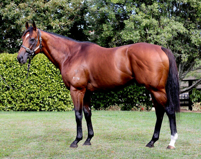 Super Easy  - Trish Dunell