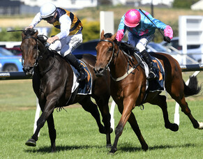 Bonningtons excited about Champions Day prospects