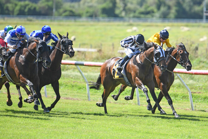 Belclare (black & white stripes) and Michael McNab finish resolutely to take out the Listed Clubs NZ Wairarapa Thoroughbred Breeders’ Stakes (1600m) - Photo Credit: Race Images – Peter Rubery