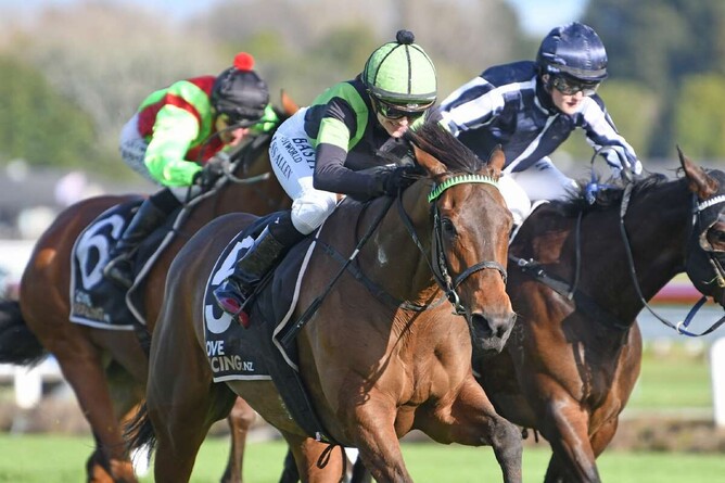 Enchanted Elle another highlight for absent owner - Photo: Race Images