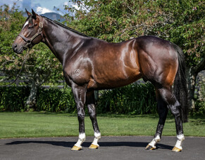 Celevacci provides breakthrough success for Tivaci