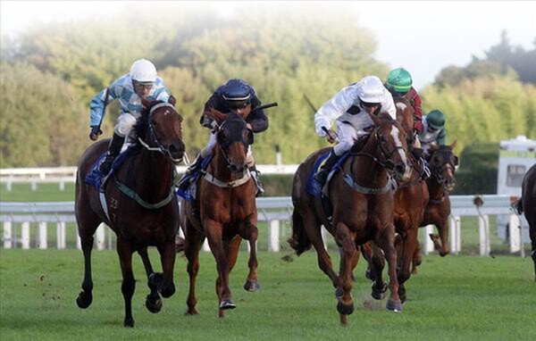 Pimms Time (white with black spots) holds on to win the Travis Stakes last weekend. - Photo NZTM website