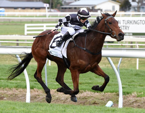 Metric Mile success for Sharrock’s Gypsy Fair