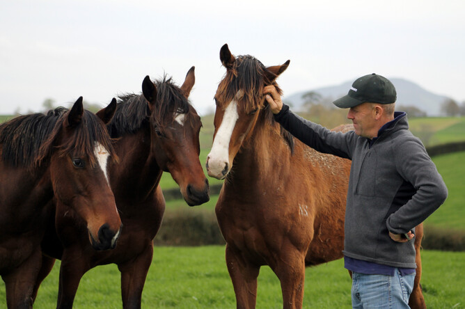 Gordon Cunningham with a group of yearlings. Photo: Tara Hughes