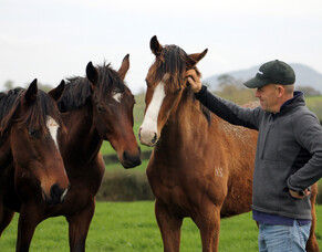 Curraghmore graduates shine at Cup Week