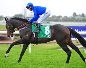 Novara Park Open Day