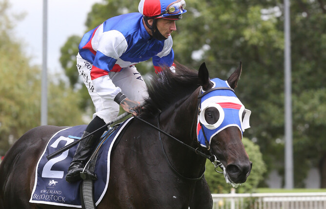 Group Two winner Self Obsession. - Photo: Trish Dunell