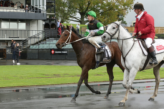 Loch Katrine returns a winner after the Listed Champagne Stakes - Photo: Trish Dunell
