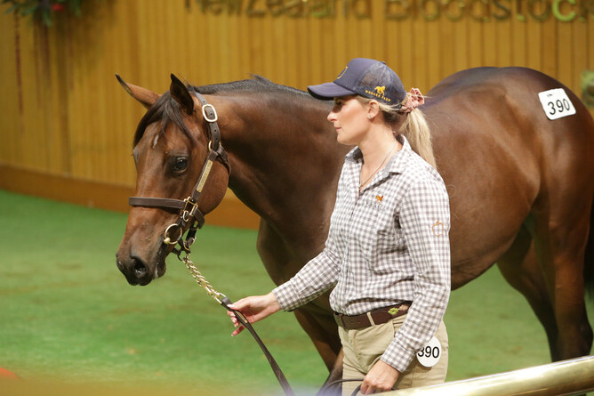 Lot 390, the Ocean Park filly, was purchased by Mr Okada of Big Red Farm for $270,000. Photo: Trish Dunel