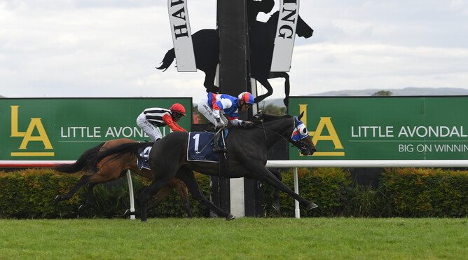 Self Obsession winning the Gr.2 Lowland Stakes (2100m) at Hastings on Wednesday. Photo: Race Images