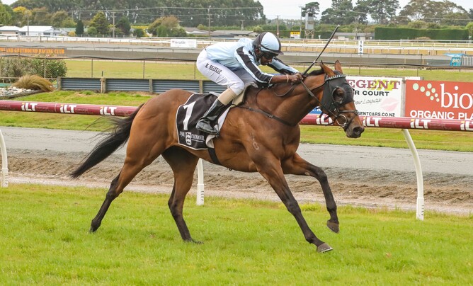 Palmetto is well clear at the finish of the Listed ILT Ascot Park Hotel Southland Guineas (1600m) - Photo: Monica Toretto