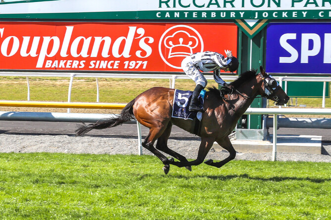 Belclare and jockey Michael McNab score an easy victory in the Gr.3 Valachi Downs Canterbury Breeders’ Stakes (1400m) - Photo: Race Images CHCH
