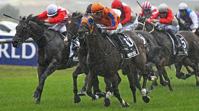 Damask Rose winning Saturday's Listed TAB Karaka Millions 3YO (1600m) at Ellerslie. - Photo: Kenton Wright (Race Images)
