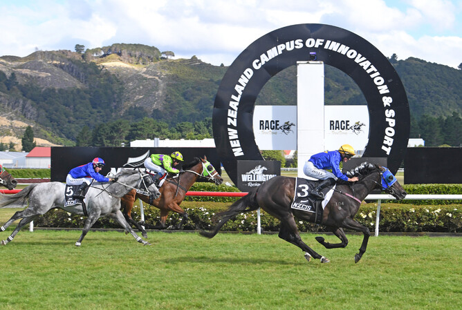 Wolfgang powers to a career-best win in the NZCIS Wellington Cup at Trentham. - Photo: Peter Rubery (Race Images)