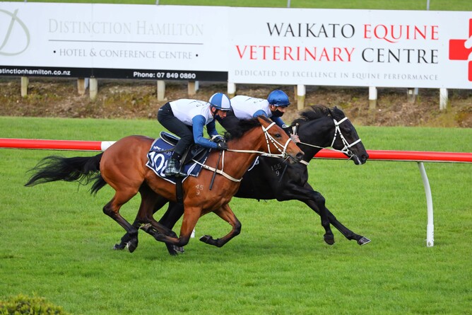 Lot 107 (inside) was purchased by Te Akau Principal David Ellis for $640,000. Photo: Mike Walen