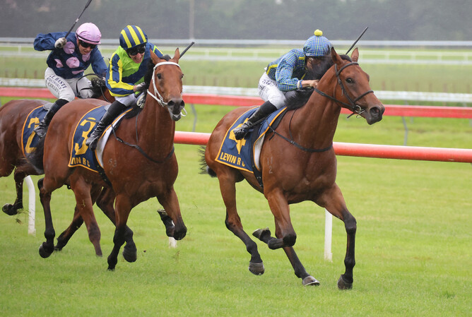 Road To Paris begins to veer out and into the path of eventual winner Ammirati in the Gr.3 Jennian Homes Wellington Stakes (1600m) at Otaki.  - Photo: Peter Rubery (Race Images Palmerston North)