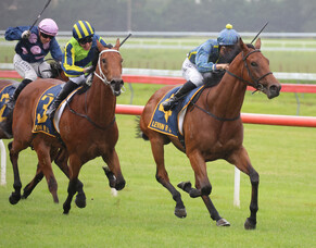 Ammirati wins dramatic Wellington Stakes
