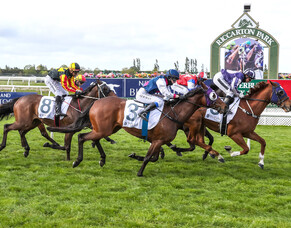 Southern breeder celebrating stakes win