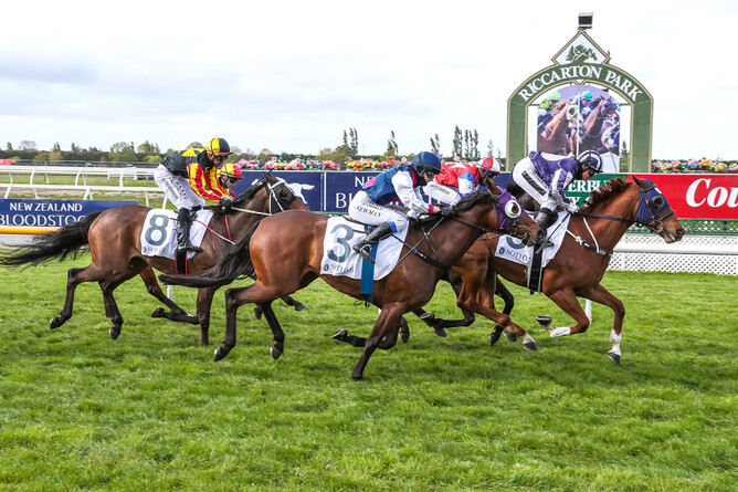 Southern Ocean emulates his dam winning the Listed Spring Classic. - Photo: Race Images South