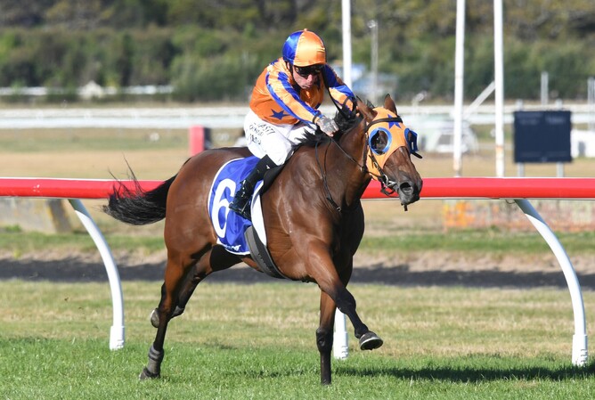 La Dorada winning Saturday’s Gr.1 Manawatu Sires’ Produce Stakes (1400m) at Trentham.   - Photo: Peter Rubery (Race Images)